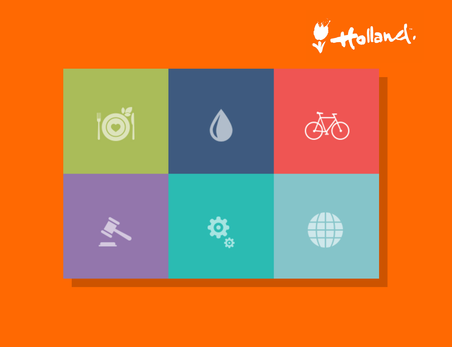 portfolio - NL in US color palette