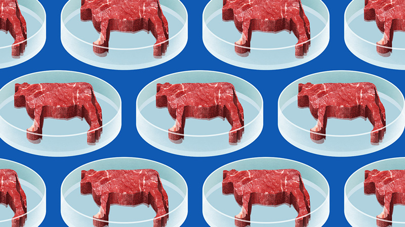 img - lab meat 2