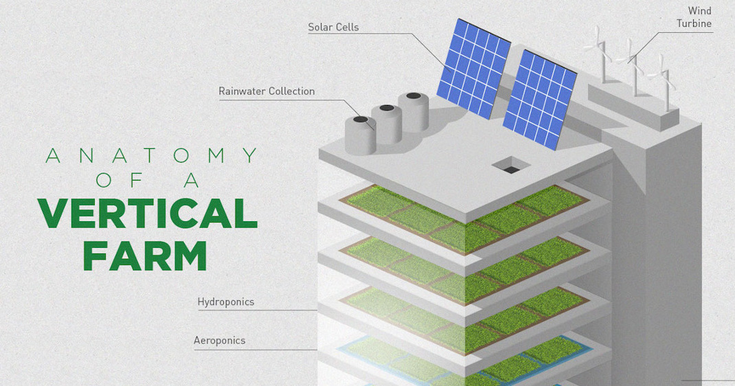 img - vertical farming